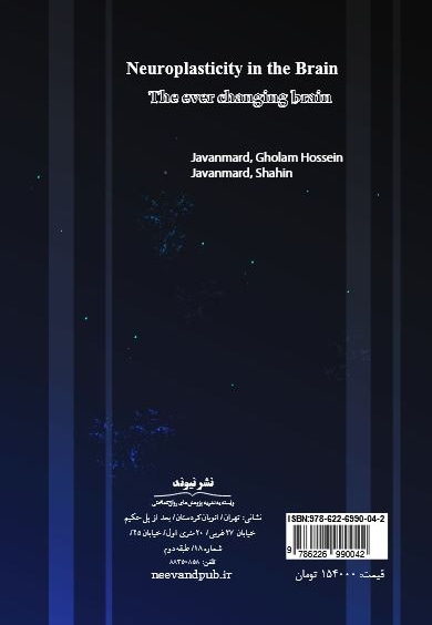 شکل پذیری عصبی در مغز